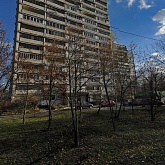 ,  , 26